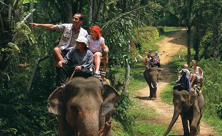 Elephant Ride