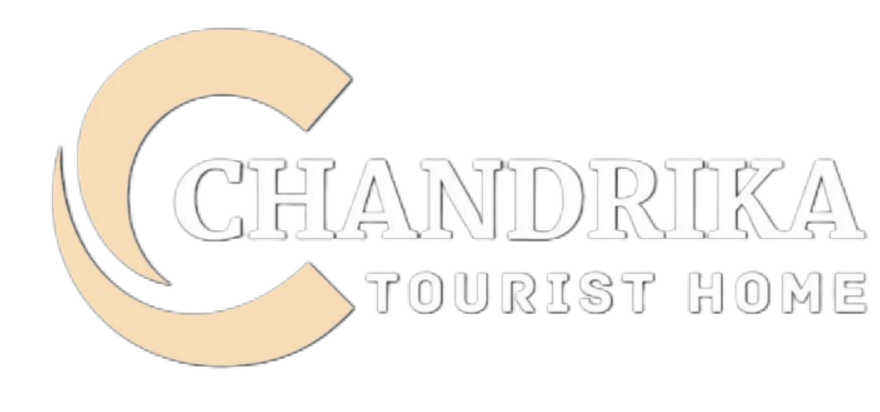 Website Logo