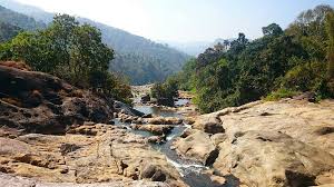 Explore Munnar & Beyond