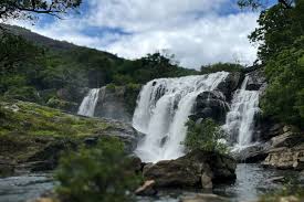 Explore Munnar & Beyond