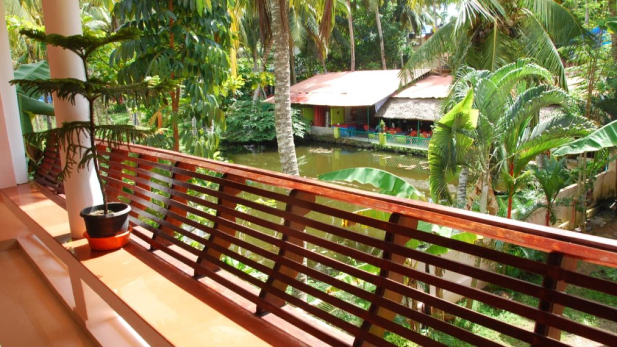 IMG-20241101-WA0003