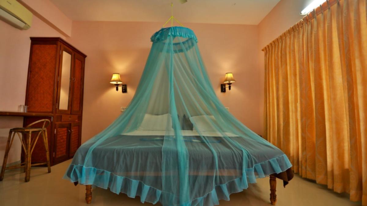 IMG-20241101-WA0011