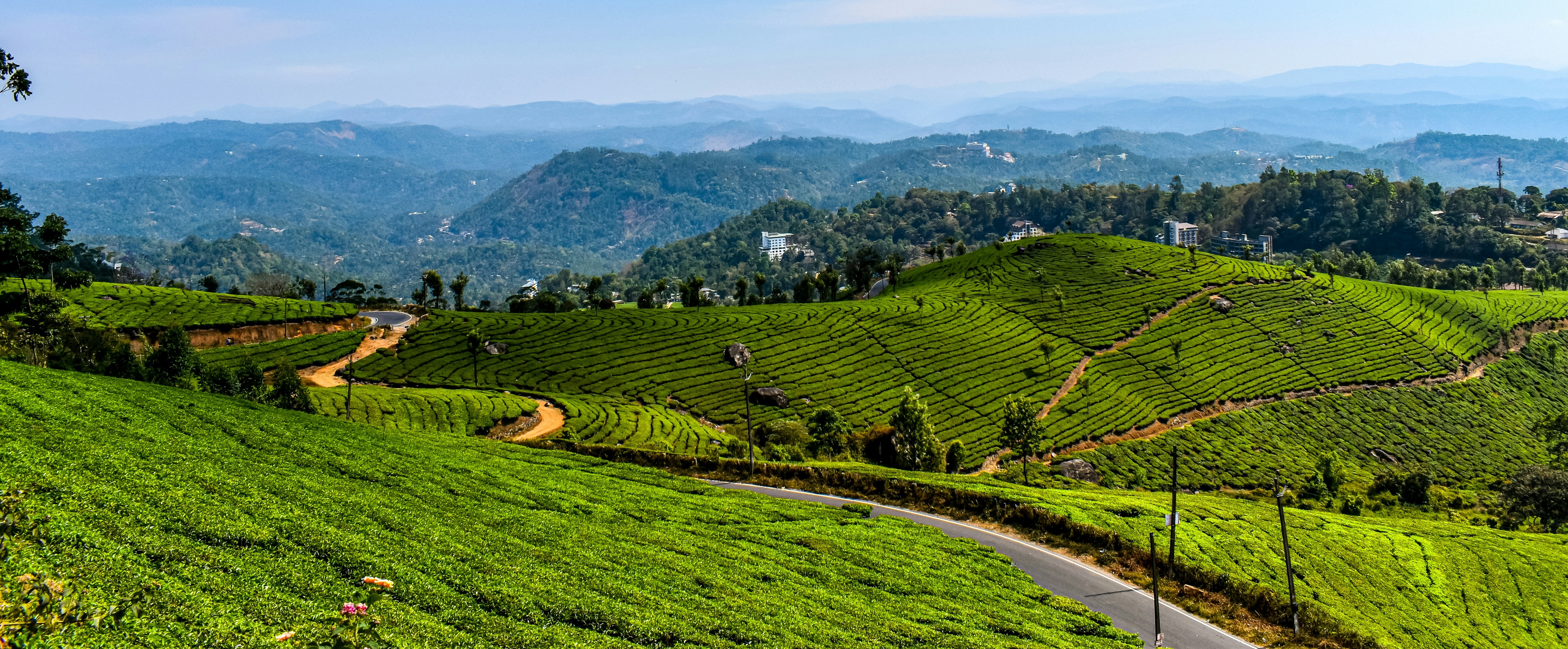 Kerala Homestay Tour Packages