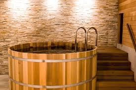 Sauna (Steam Bath)