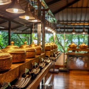 3B4A8970A-scaled-300x300