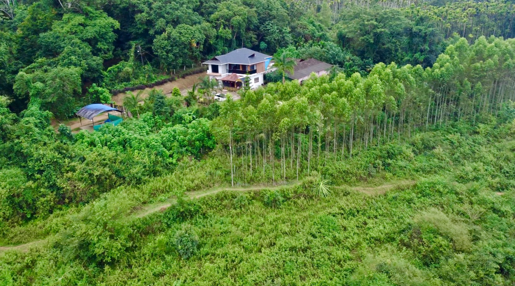 Best Places to Visit Around Sringeri, Chikmagalur