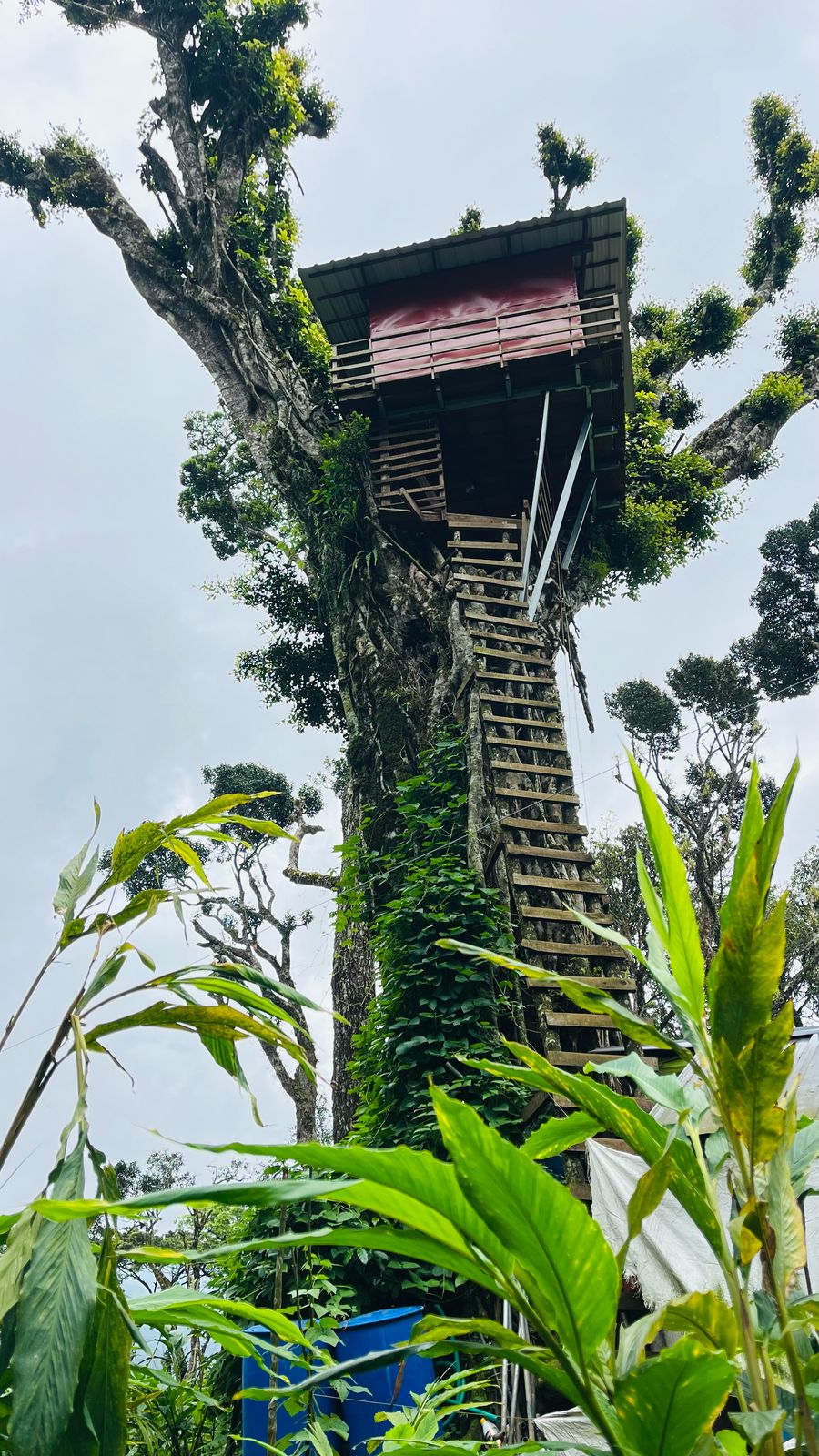 Munnar Oxyvalley Resorts