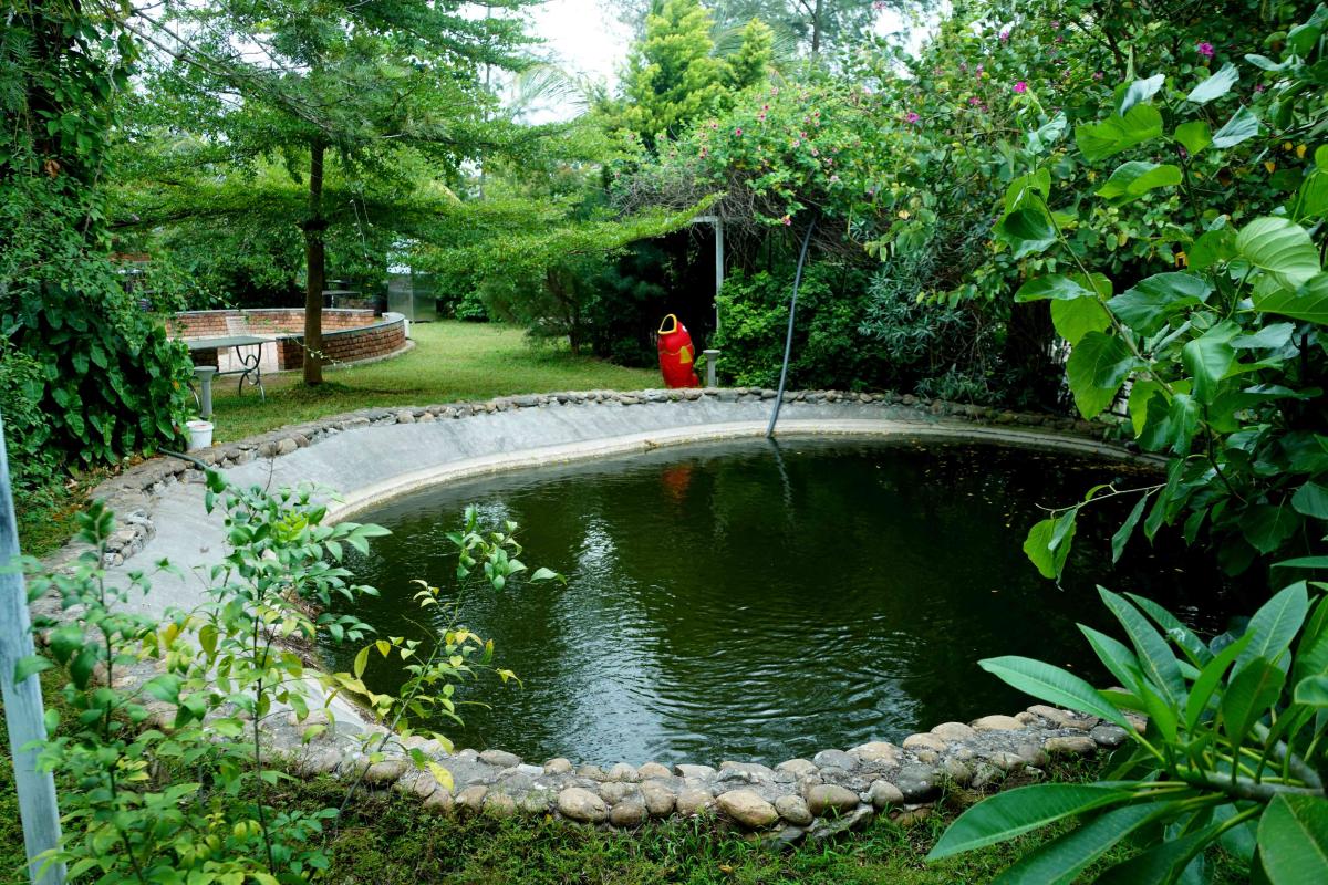 DSC06278