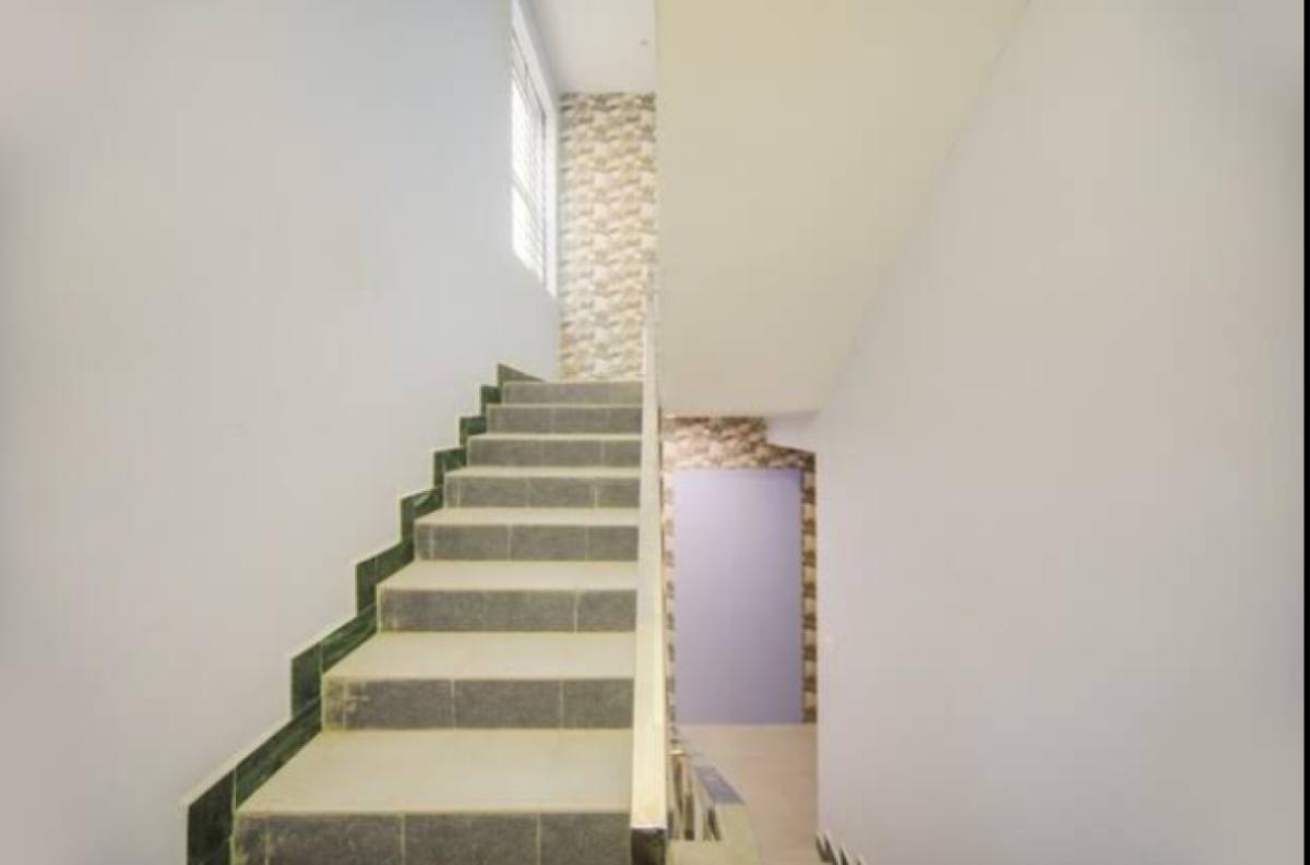 IMAGE 1 (11)