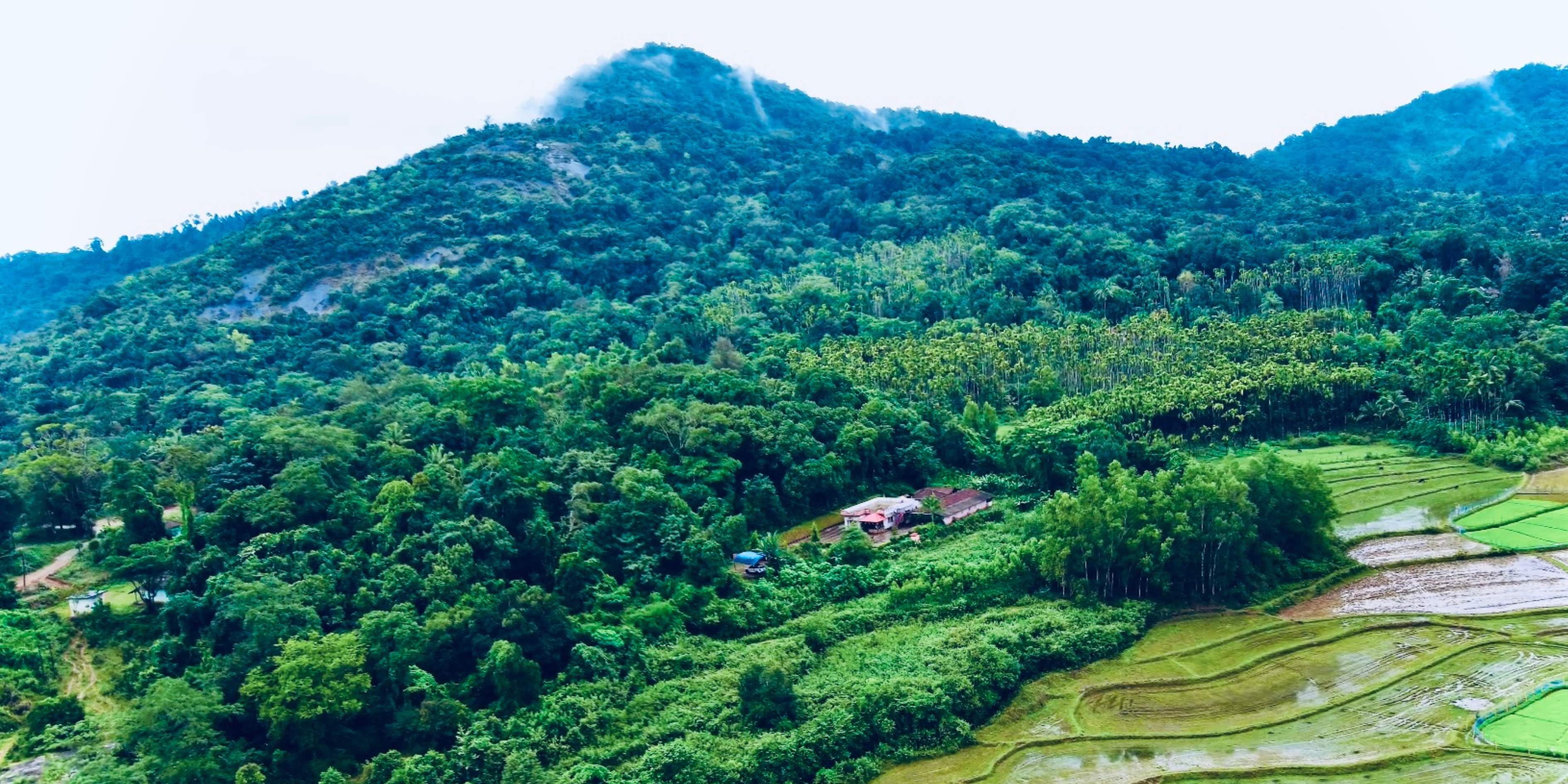 Why Choose GaVi Homestay: A New Visitor’s Guide to Riverside Homestay in Chikmagalur