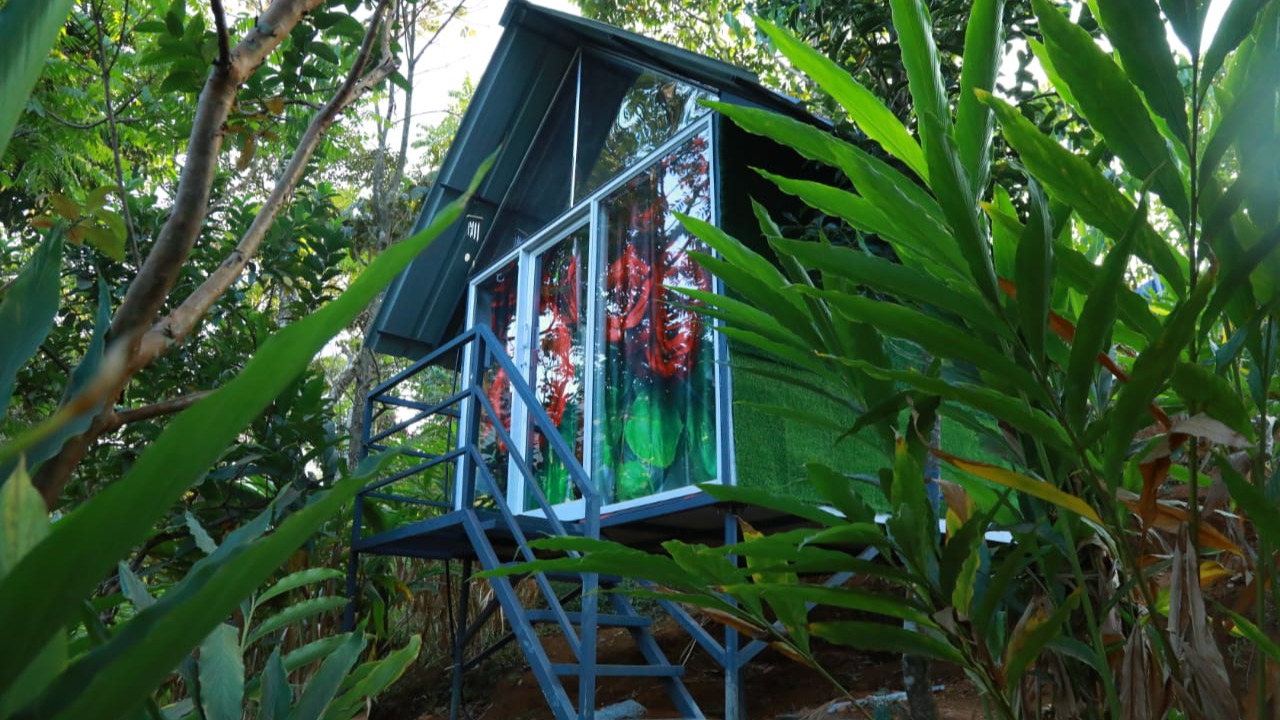 Wild Strip Retreat(Hut)