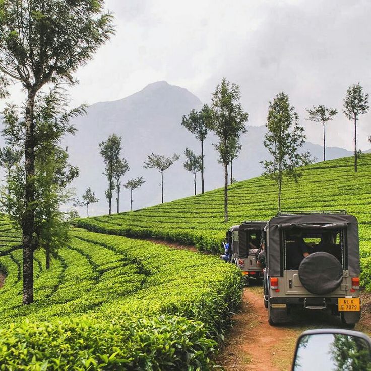 Munnar Hill station Tour