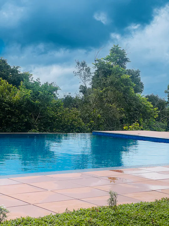 7a15f31d-c0d1-4231-b6c2-3f4898776580