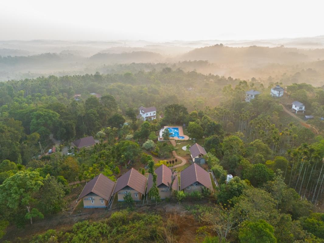 DJI_20260317070221.jpg