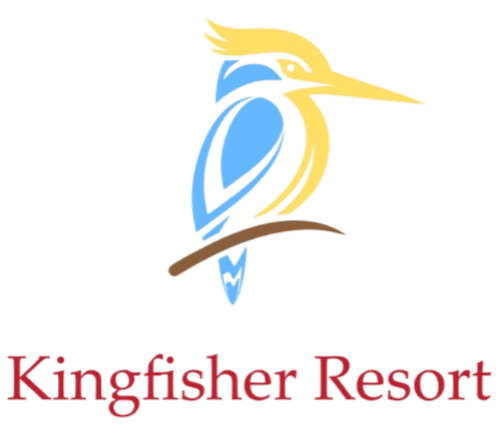 Website Logo