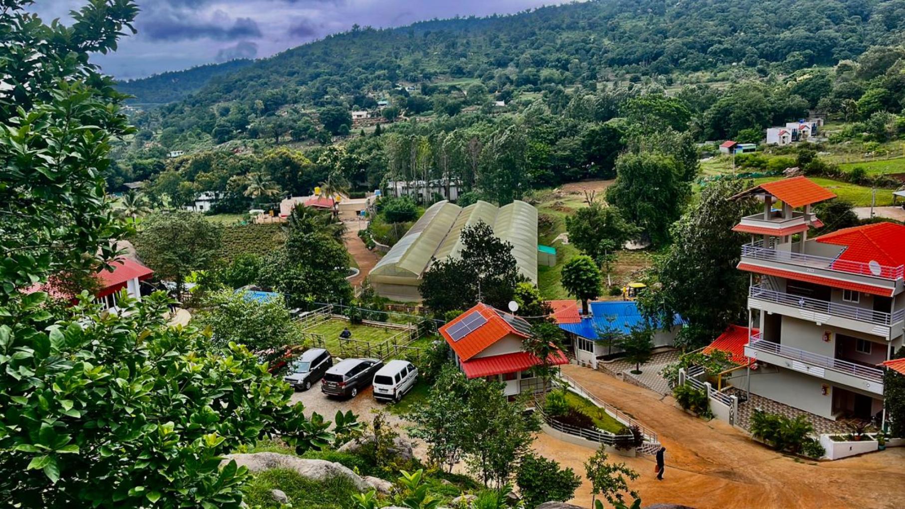 Main Image