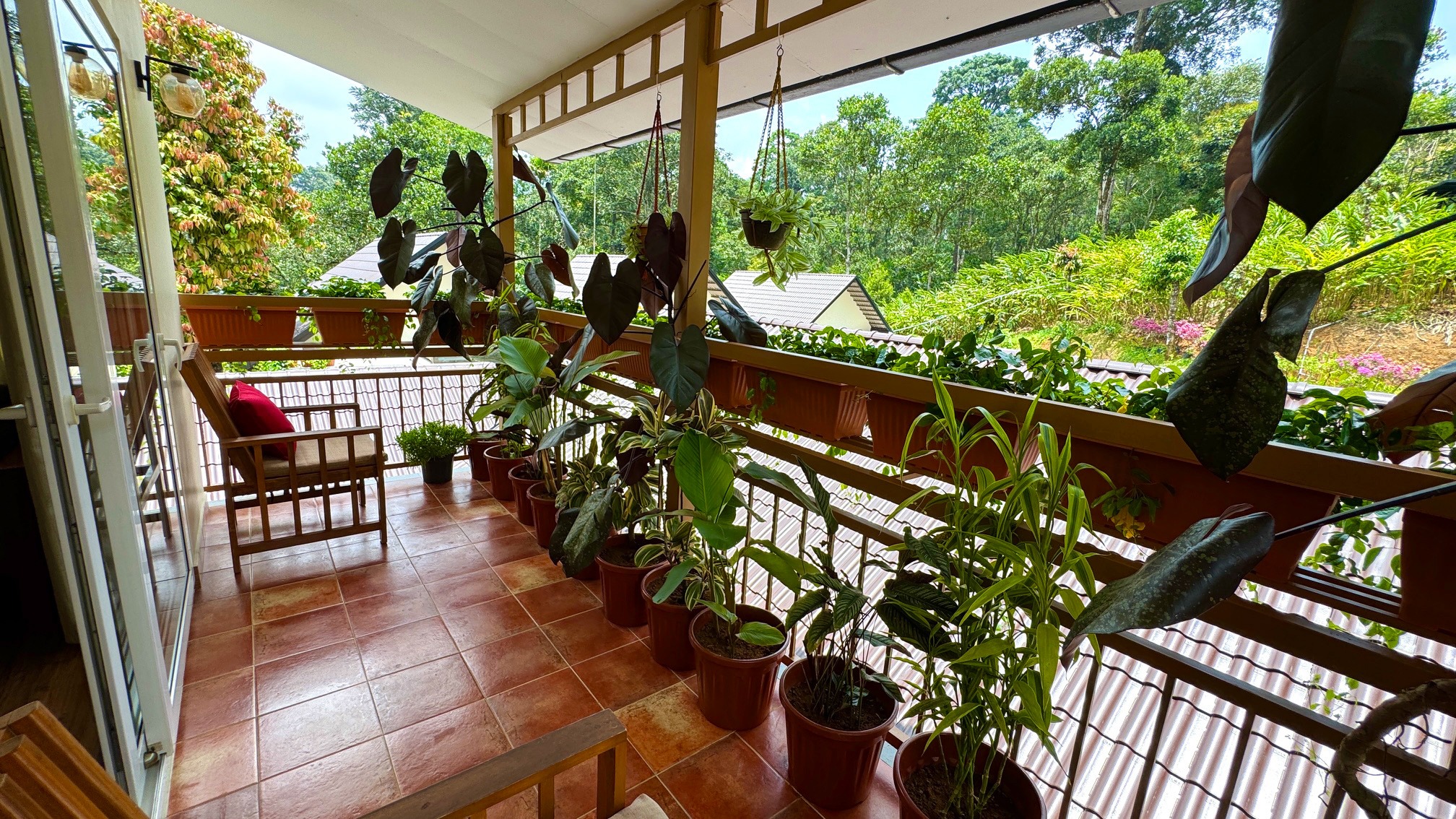 Forest View Room