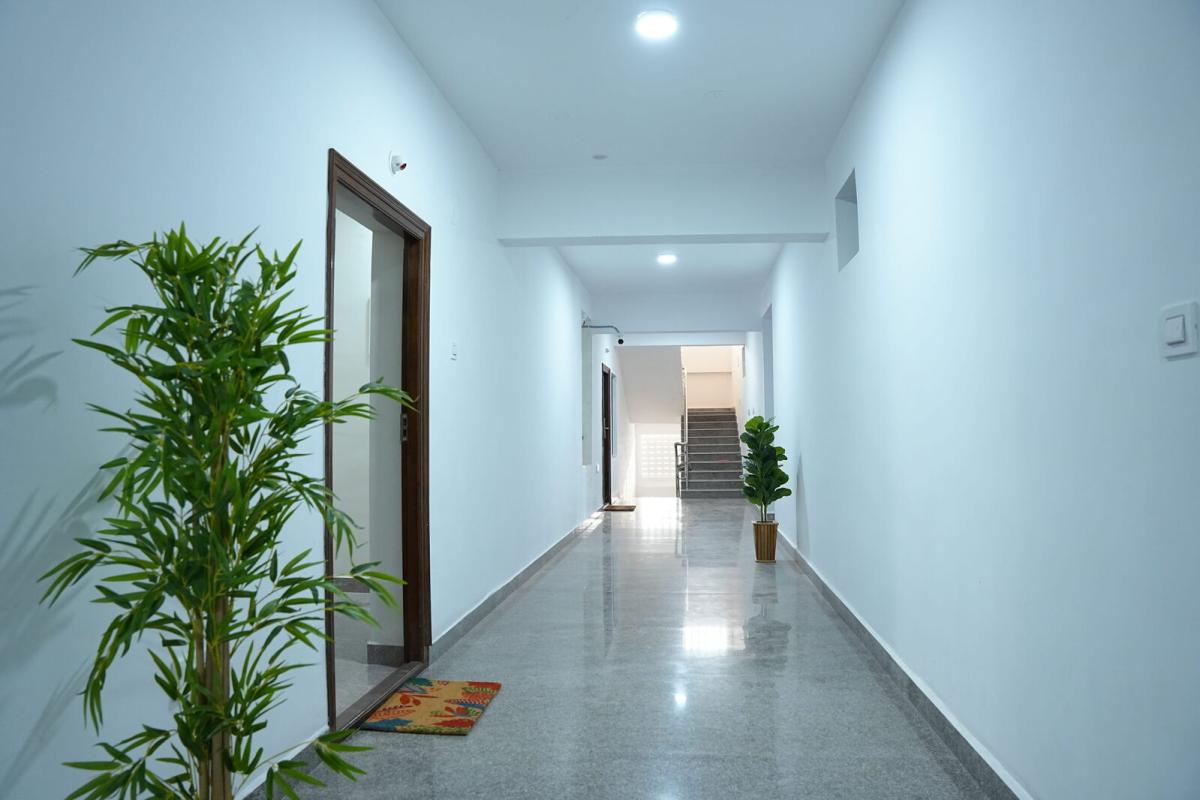 DSC00478_optimized_500