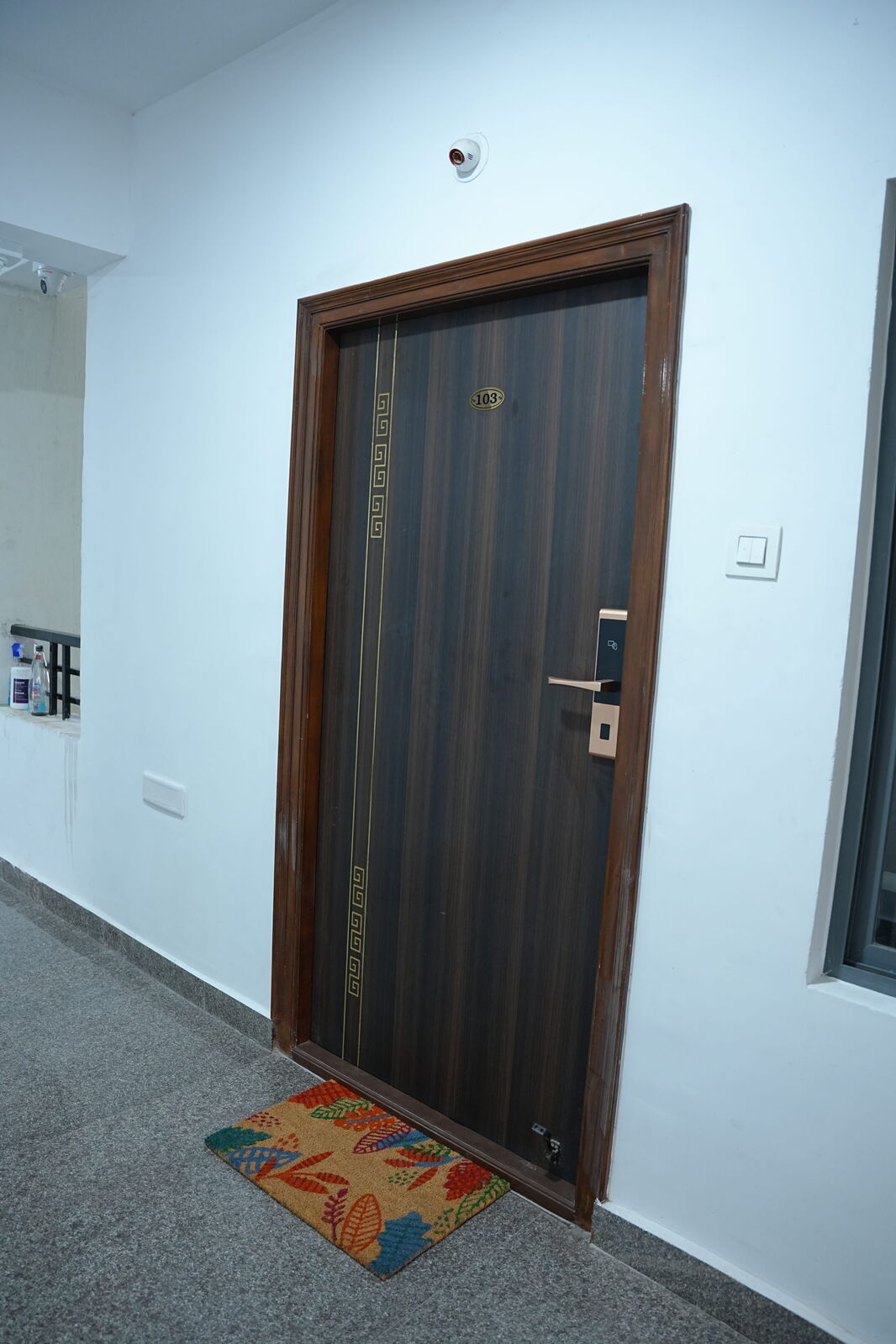 DSC00540_optimized_500