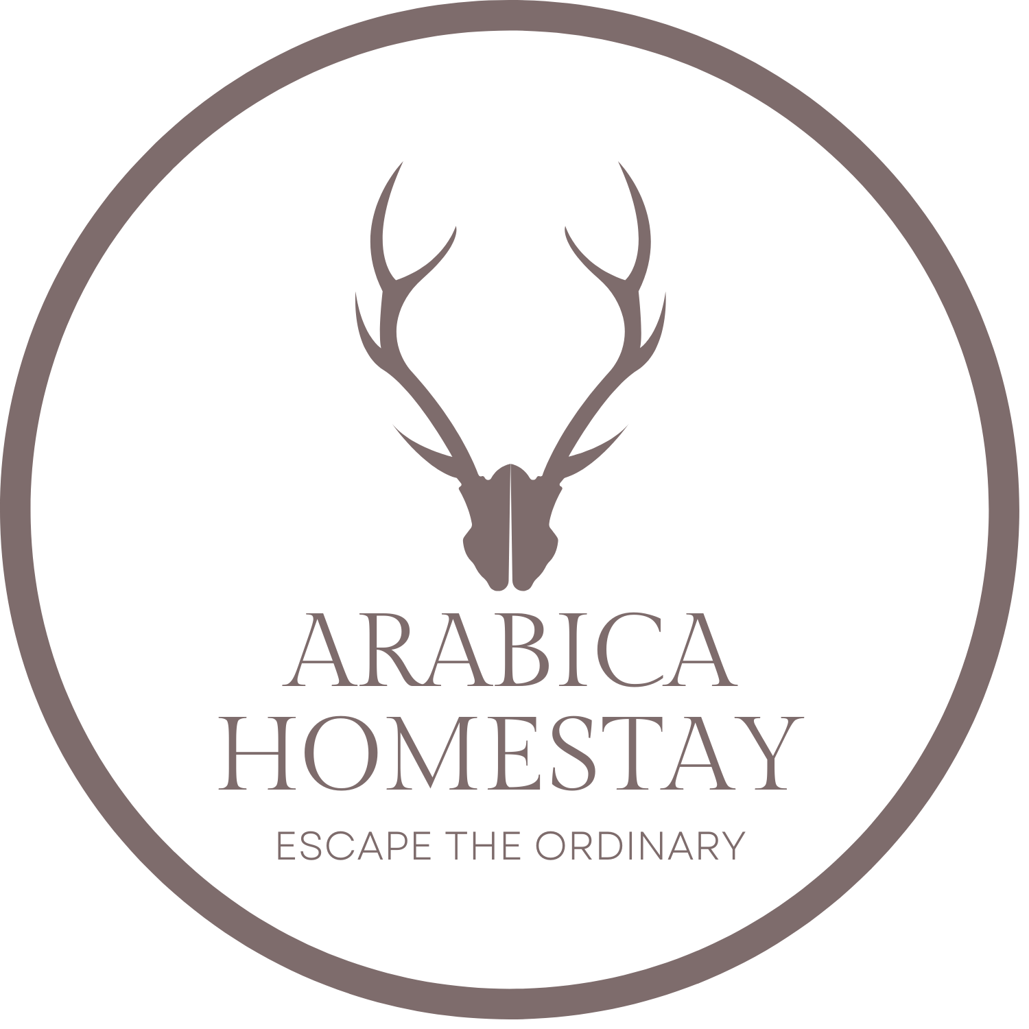 Website Logo