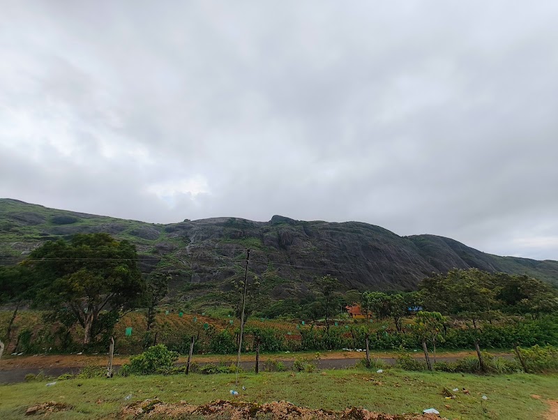 Thangalpara Viewpoint