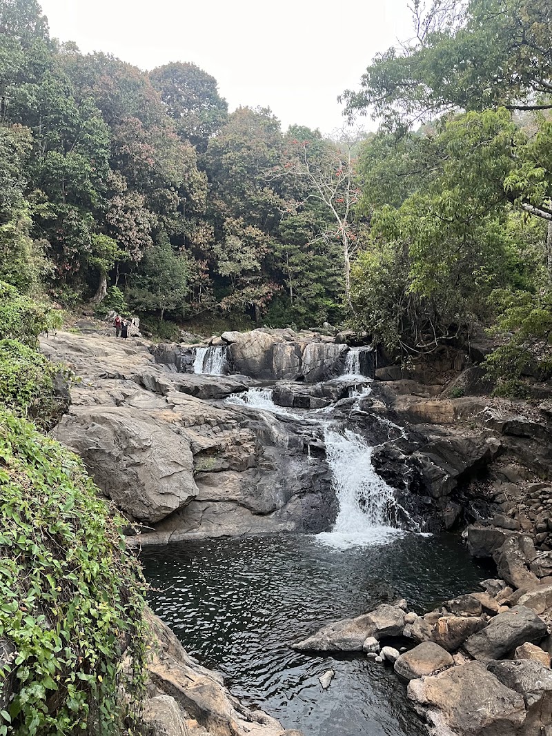 Soochipara falls