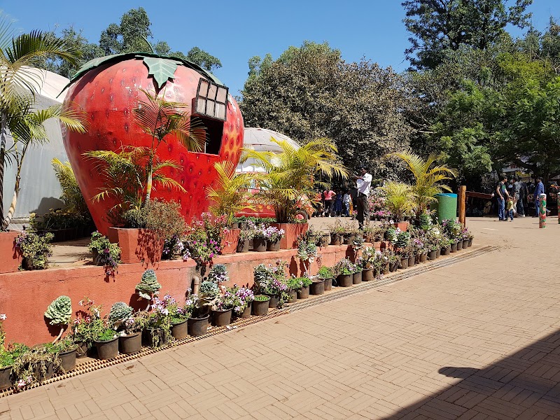 Mapro Garden & Factory