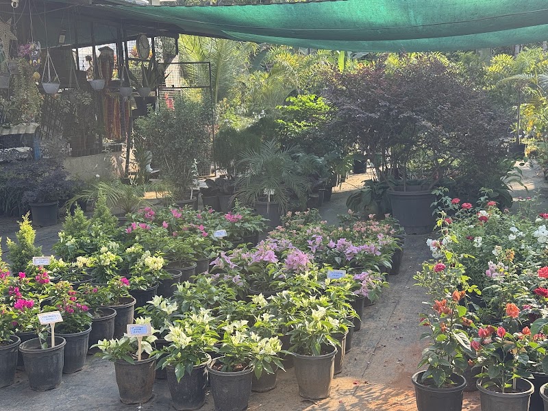 Uthram Plant Lands