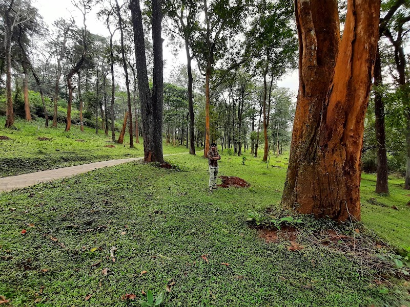 Padiri Reserve Forest