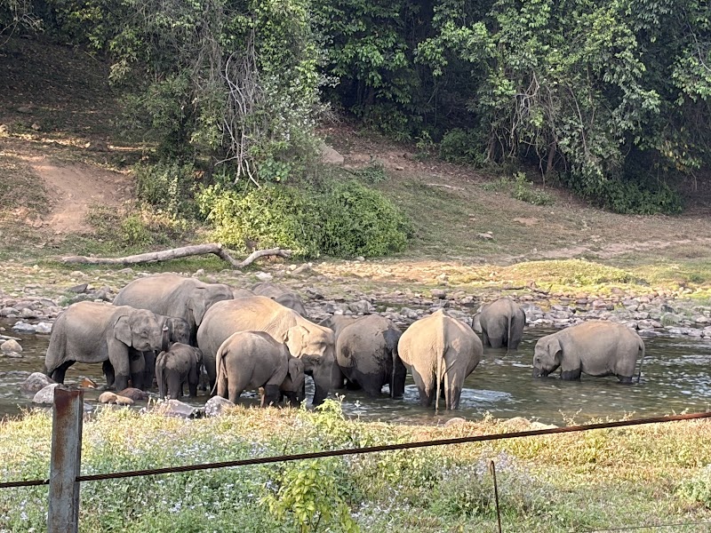 Elephant View Point - Anakulam
