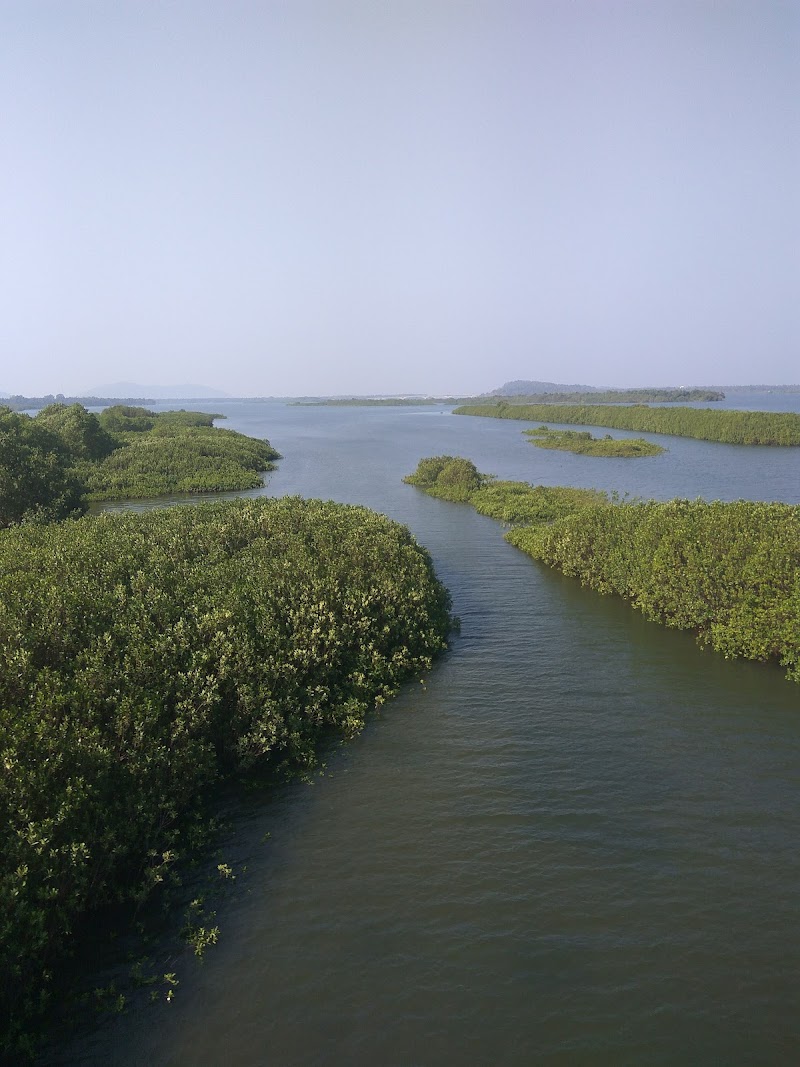 Kali River Estuary