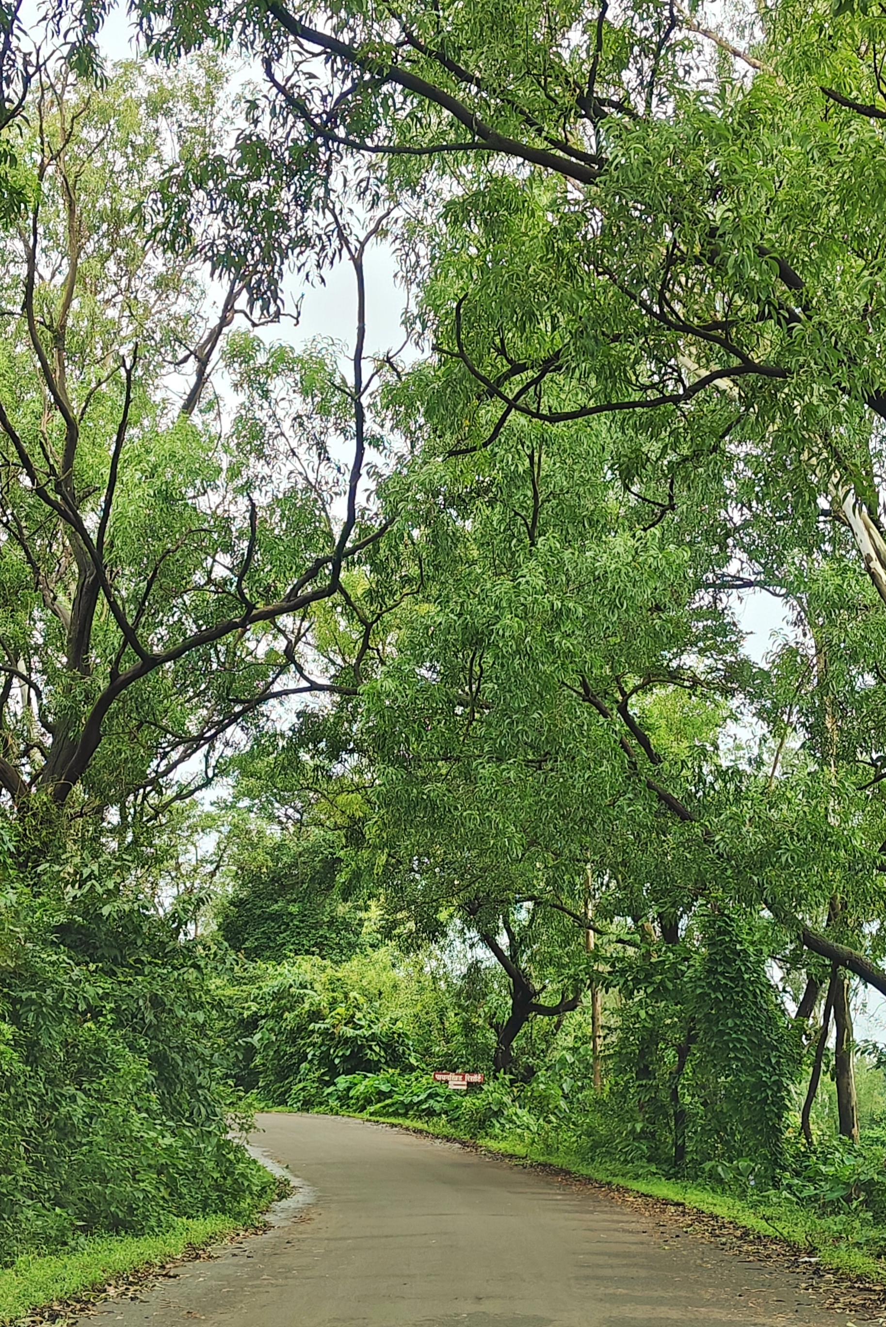 Eco-Friendly Resort in the Sahyadri: A Stay at Green Meadows