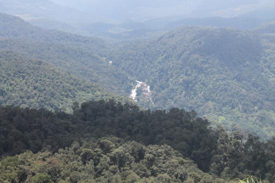 Nallamudi Viewpoint