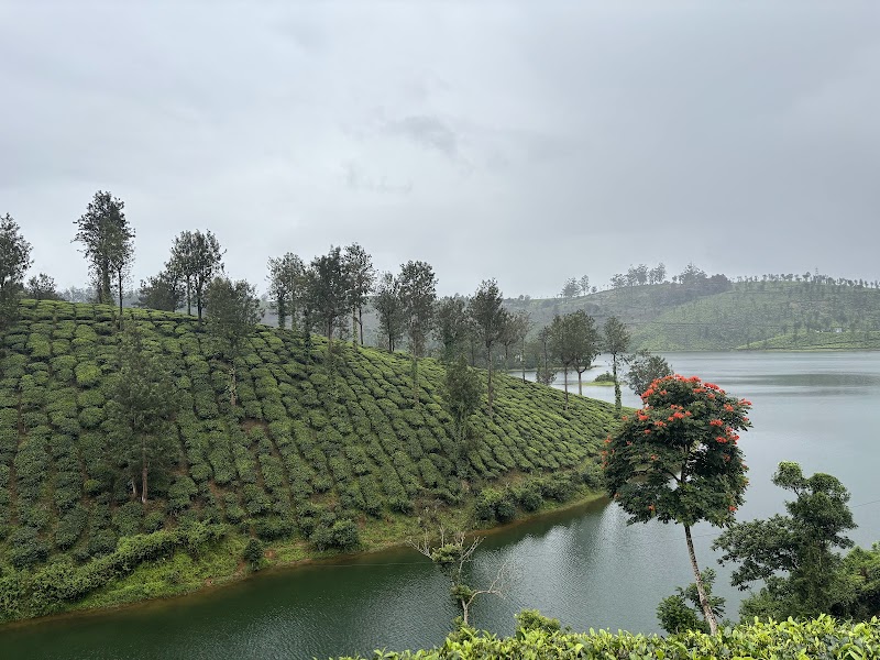 Taamaraparani Viewpoint