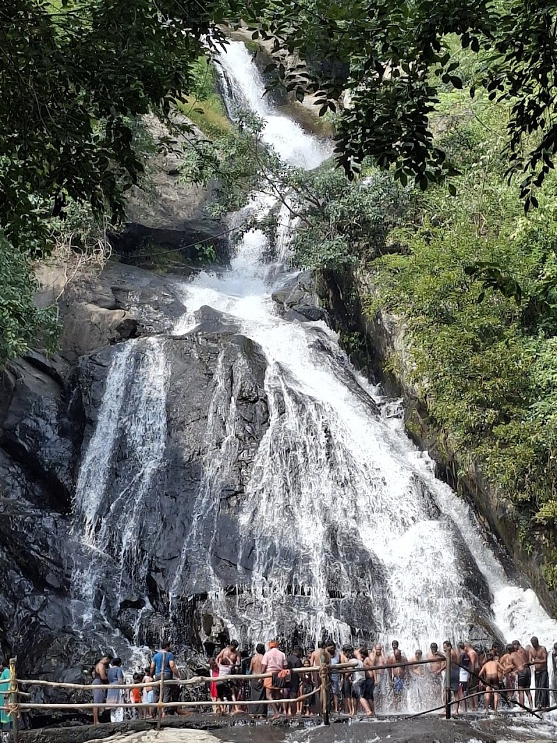 Monkey Falls