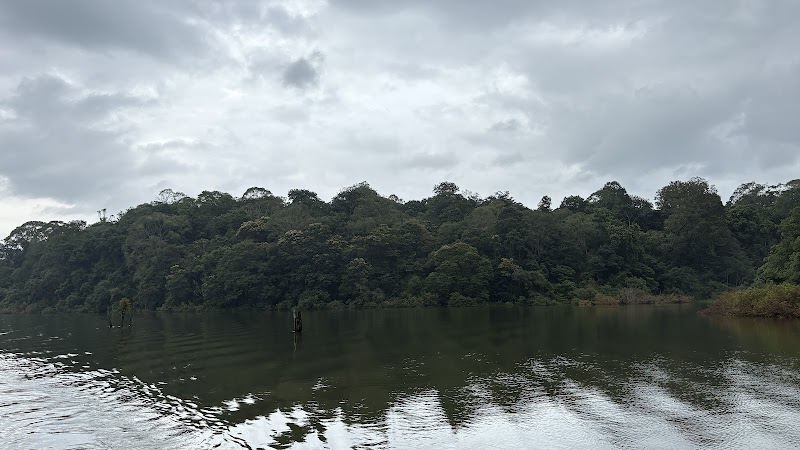 Periyar Tiger Reserve (Thekkady)