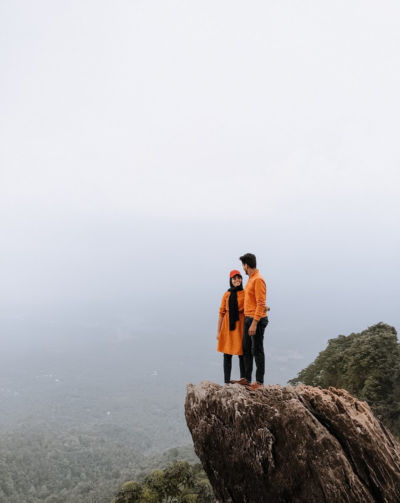 Vayalada Viewpoint