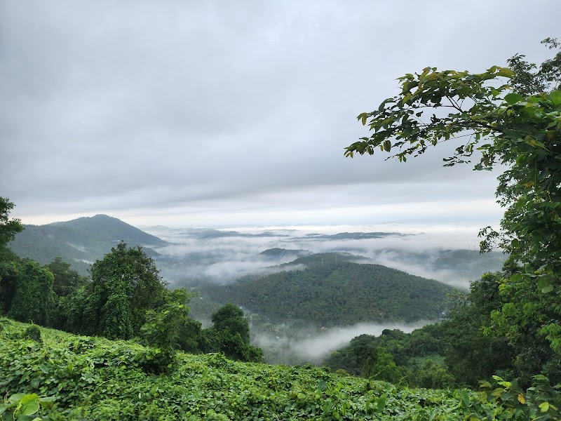 Mini Ooty (Kodikuthimala)
