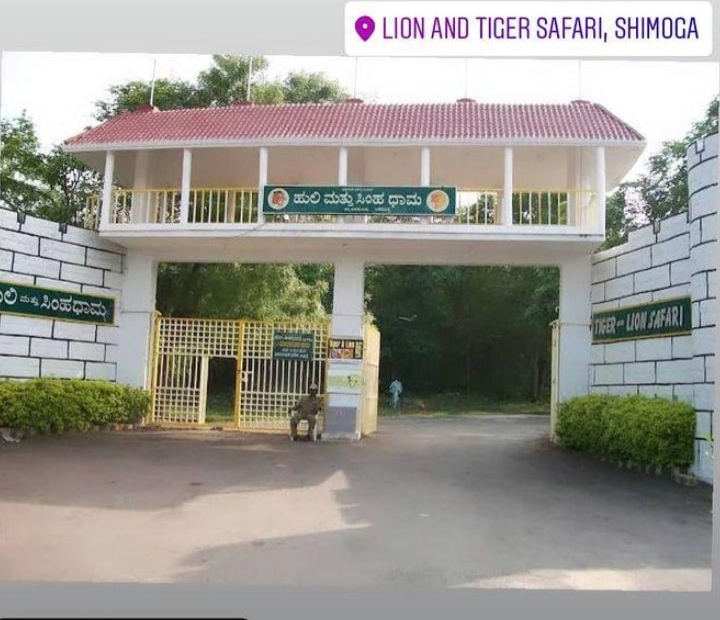 Tyavarekoppa Lion and Tiger Safari