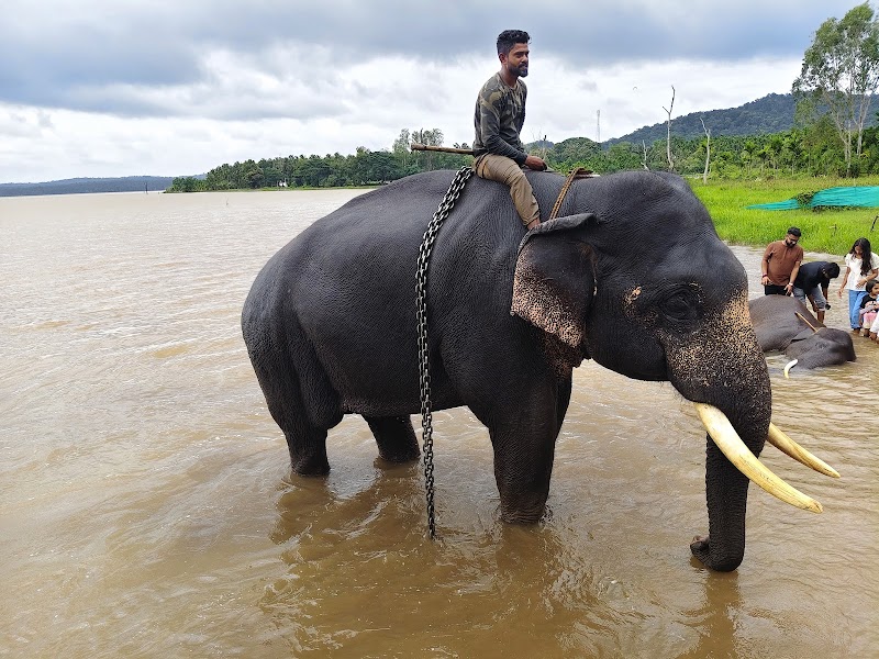 Sakrebailu Elephant Camp
