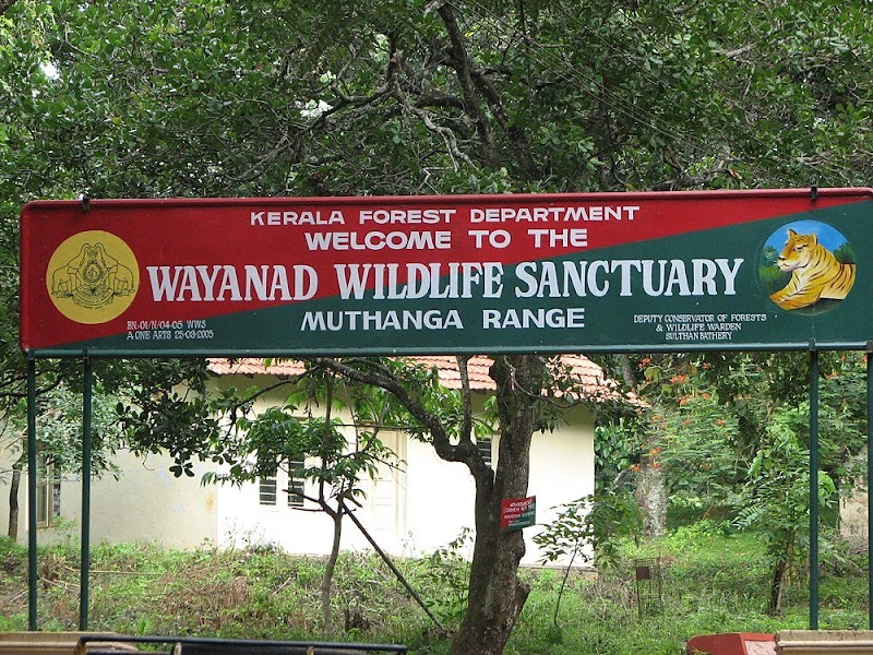 Wayanad Wildlife Sanctuary (Muthanga)