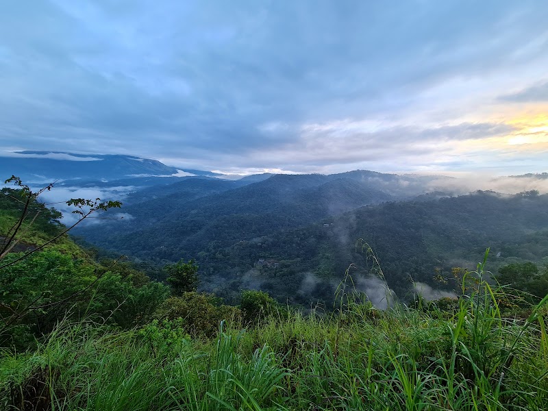 Nadukani Viewpoint