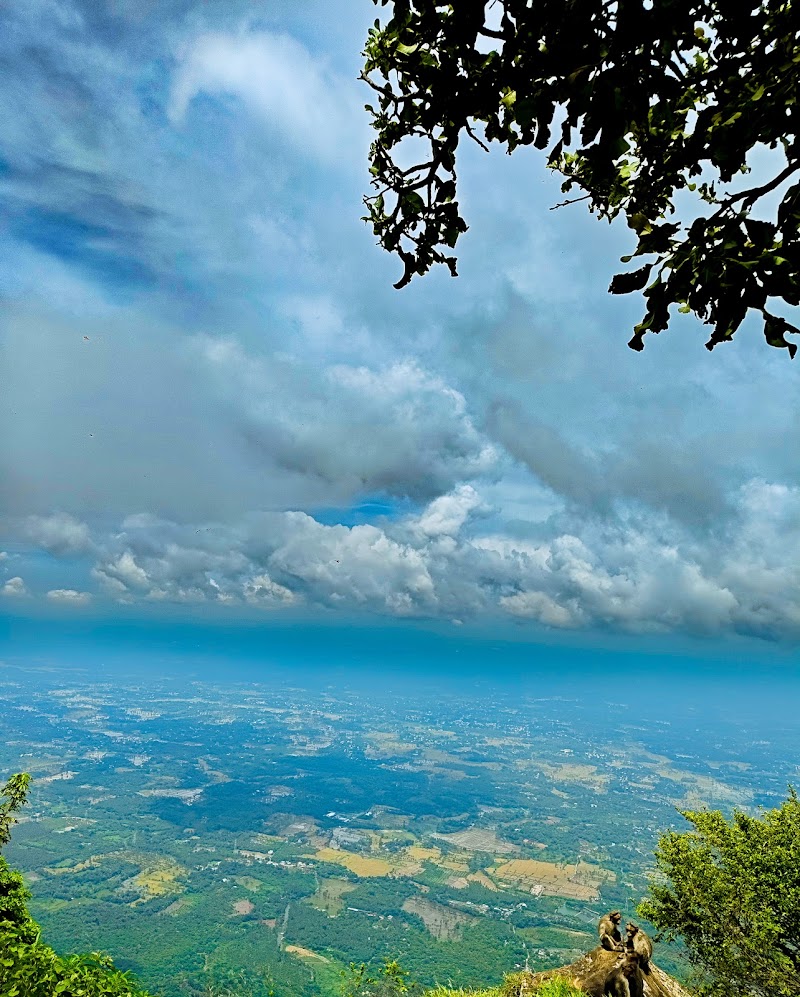 Nelliyampathy Hills