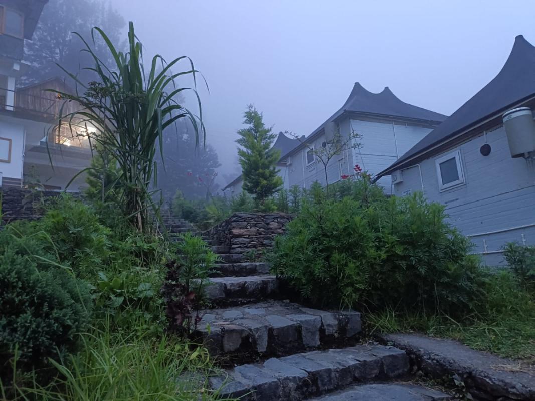 IMG-20250127-WA0027