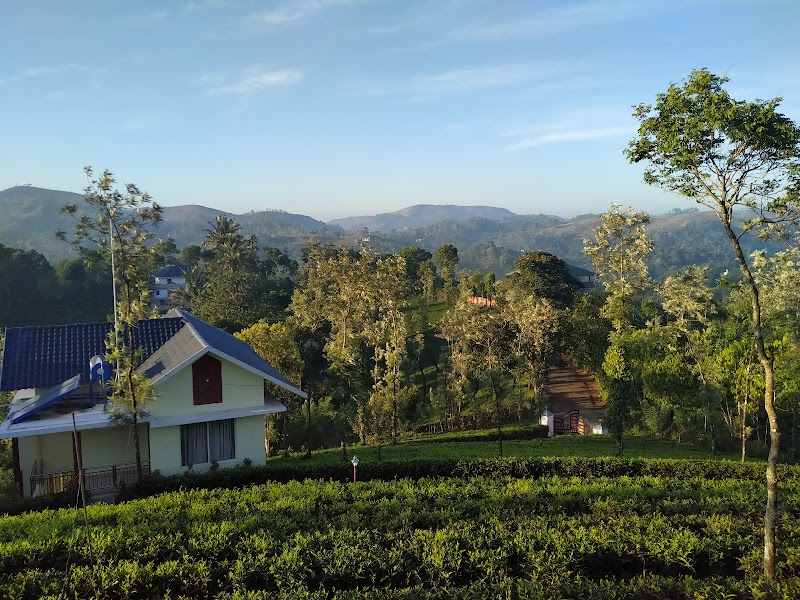 Vagamon Tea Estates