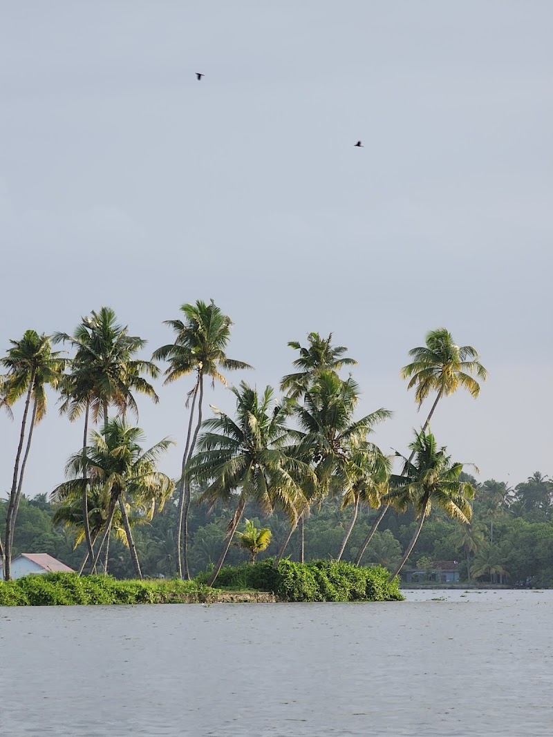 Kumbalangi