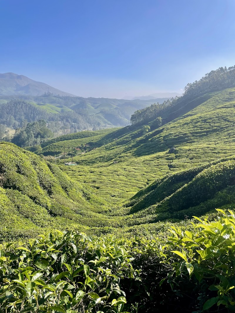 Misty Hills Trek Trail