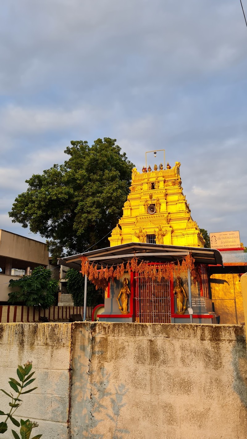 Alavattamman Kovil Park