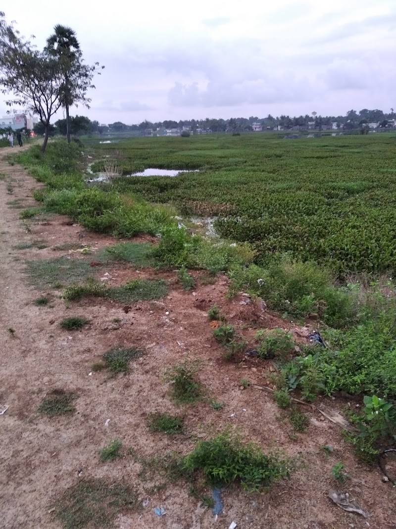 Rajakilpakkam Lake