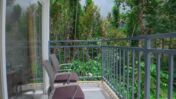 Classic Room with Pool view